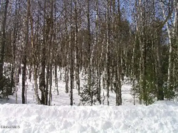 132 River Road, Johnsburg, NY 12853