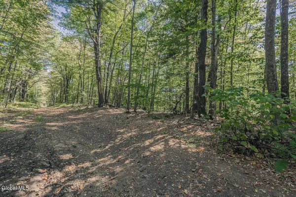 L43.1 Hinds Road, Providence, NY 12074