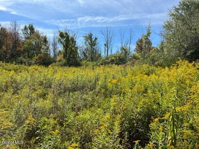 L27 Duanesburg Road, Duanesburg Town, NY 12053 - Image #3