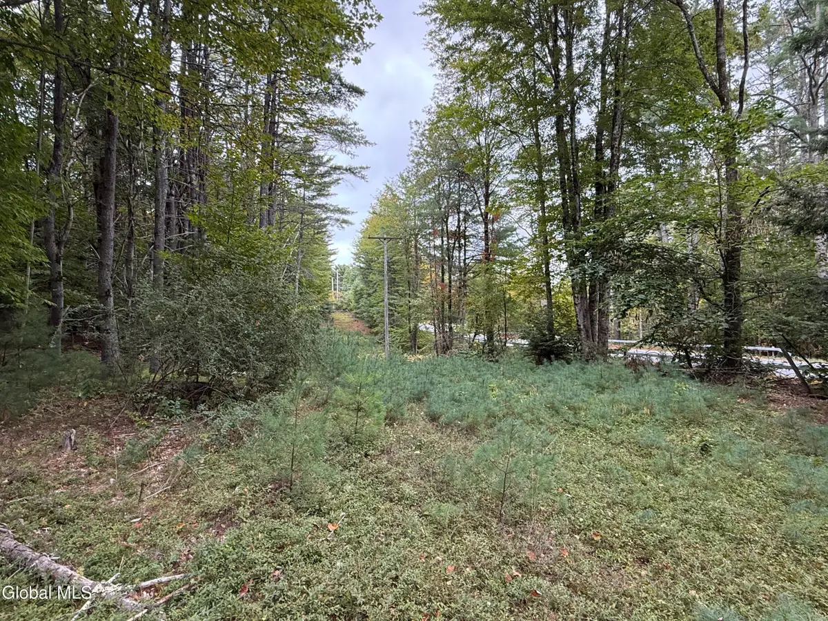 L33 Sawmill Road, Bolton, NY 12814 - Image #1