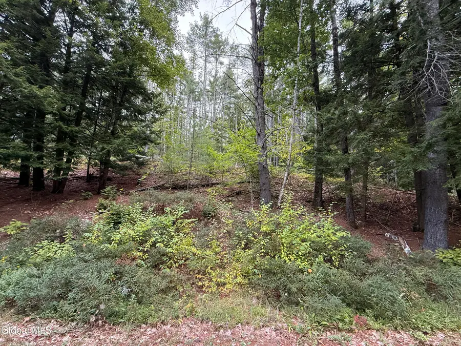 L33 Sawmill Road, Bolton, NY 12814 - Image #3