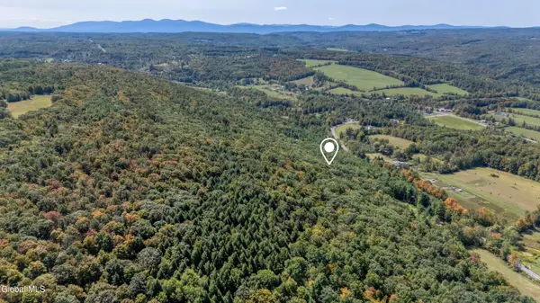 L12.100 Willsie Road, Berne, NY 12023