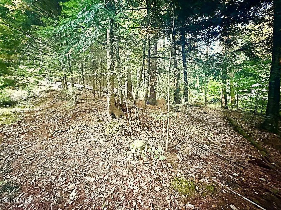 L31 Clarkson Road, Chester, NY 12817 - Image #1