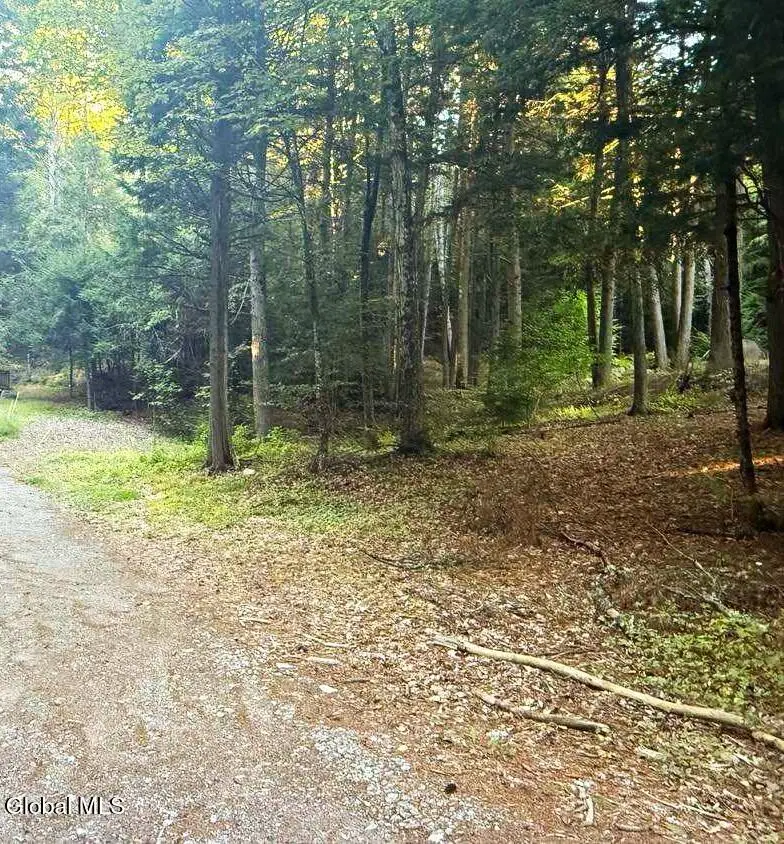 L31 Clarkson Road, Chester, NY 12817 - Image #2