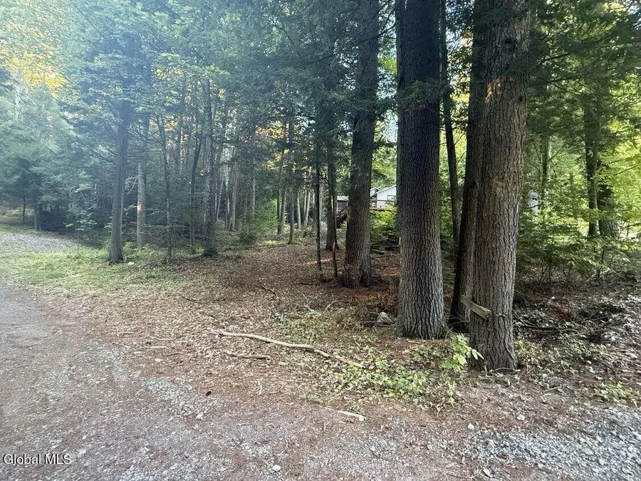 L31 Clarkson Road, Chester, NY 12817 - Image #3