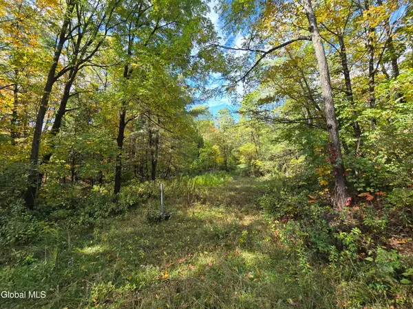 355 Grange Road, Greenfield, NY 12833