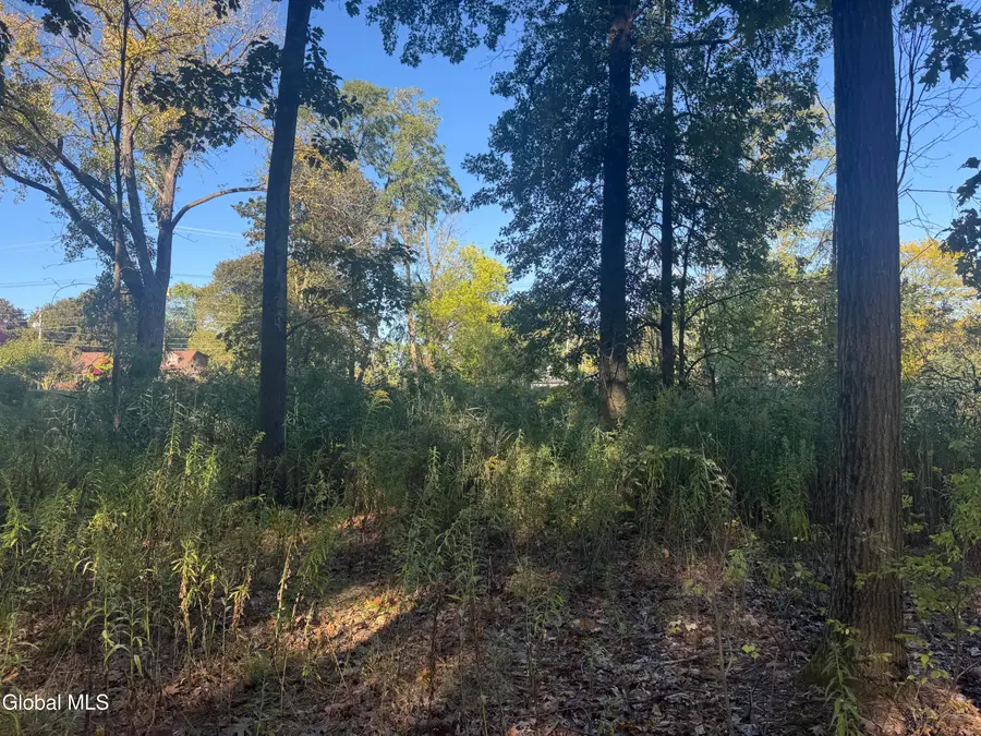 2482 Troy Schenectady Road, Niskayuna, NY 12309 - Image #2