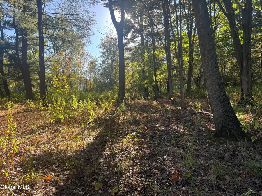 2482 Troy Schenectady Road, Niskayuna, NY 12309 - Image #3