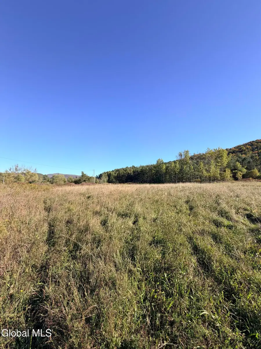 L 36 St Rt 30 Off, Gilboa, NY 12076 - Image #3