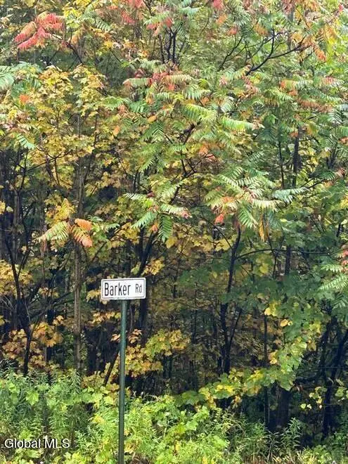 L22 North Road, Oppenheim, NY 13329