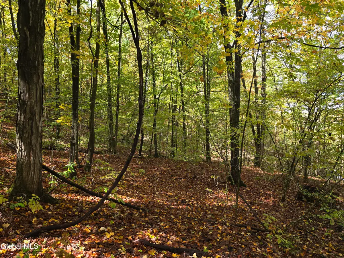 L25 River Road, Ticonderoga, NY 12883 - Image #1