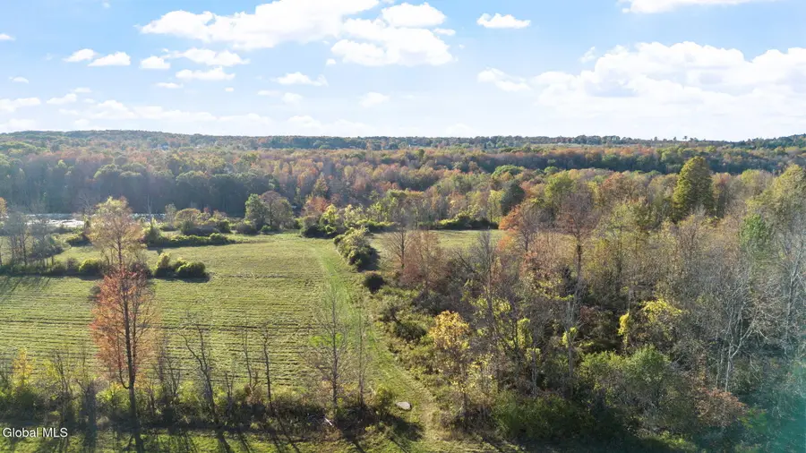 207 Kropp Road, Westerlo, NY 12193 - Image #3