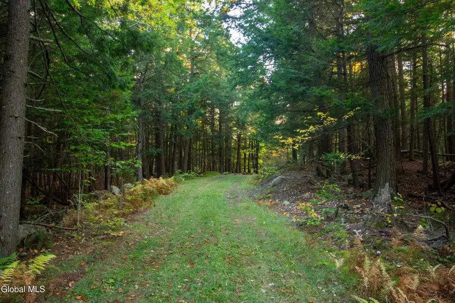 L28 State Route 28n, Chester, NY 12853 - Image #2