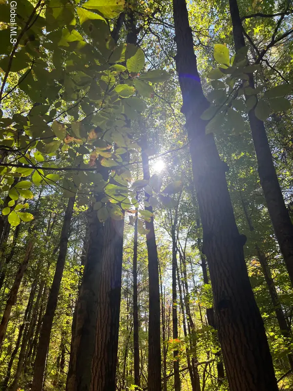 87 Bulson Road, Brunswick, NY 12180