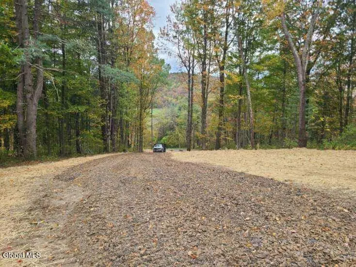 L10 Horton Road, Cambridge Town, NY 12834 - Image #3