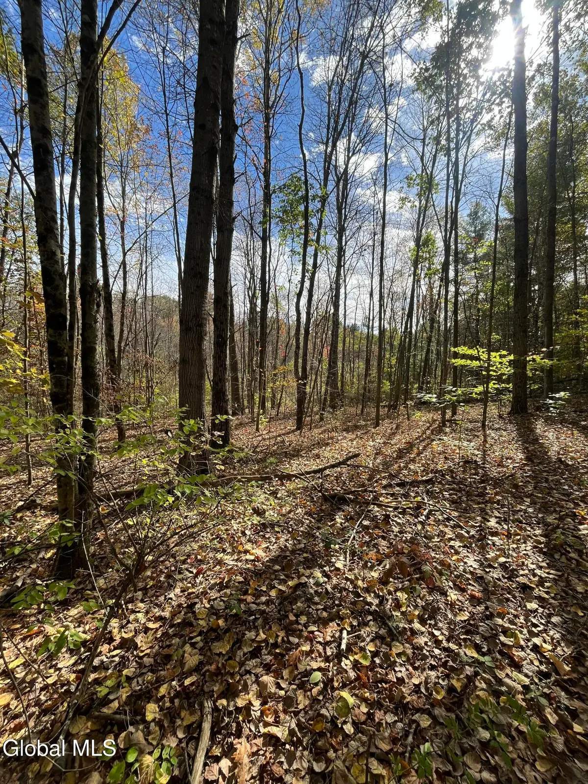 L5.2 Warner Road, Hebron, NY 12832 - Image #1