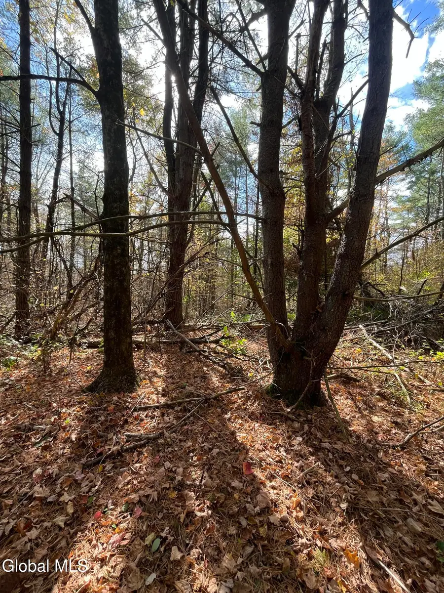 L5.2 Warner Road, Hebron, NY 12832 - Image #3