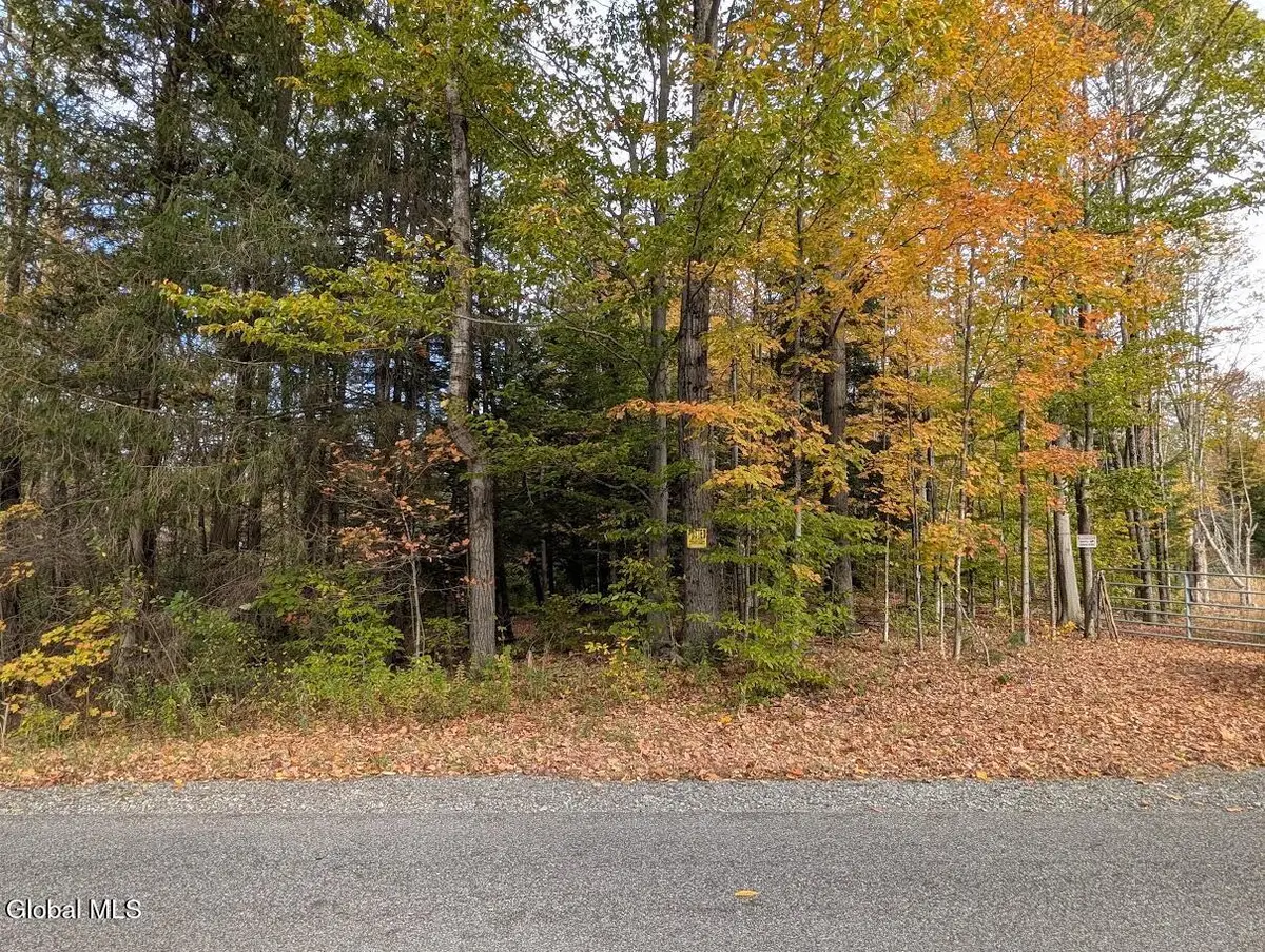 L23.2 Potter Hollow Road, Providence, NY 12074 - Image #1