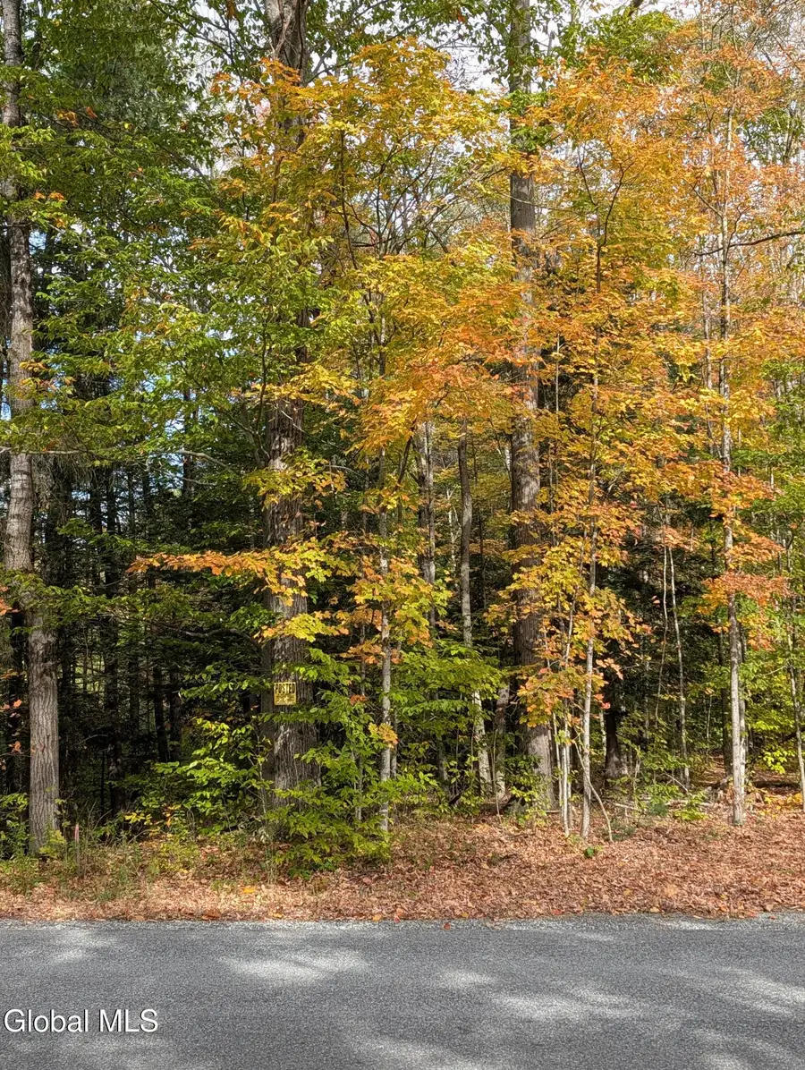 L23.2 Potter Hollow Road, Providence, NY 12074 - Image #3