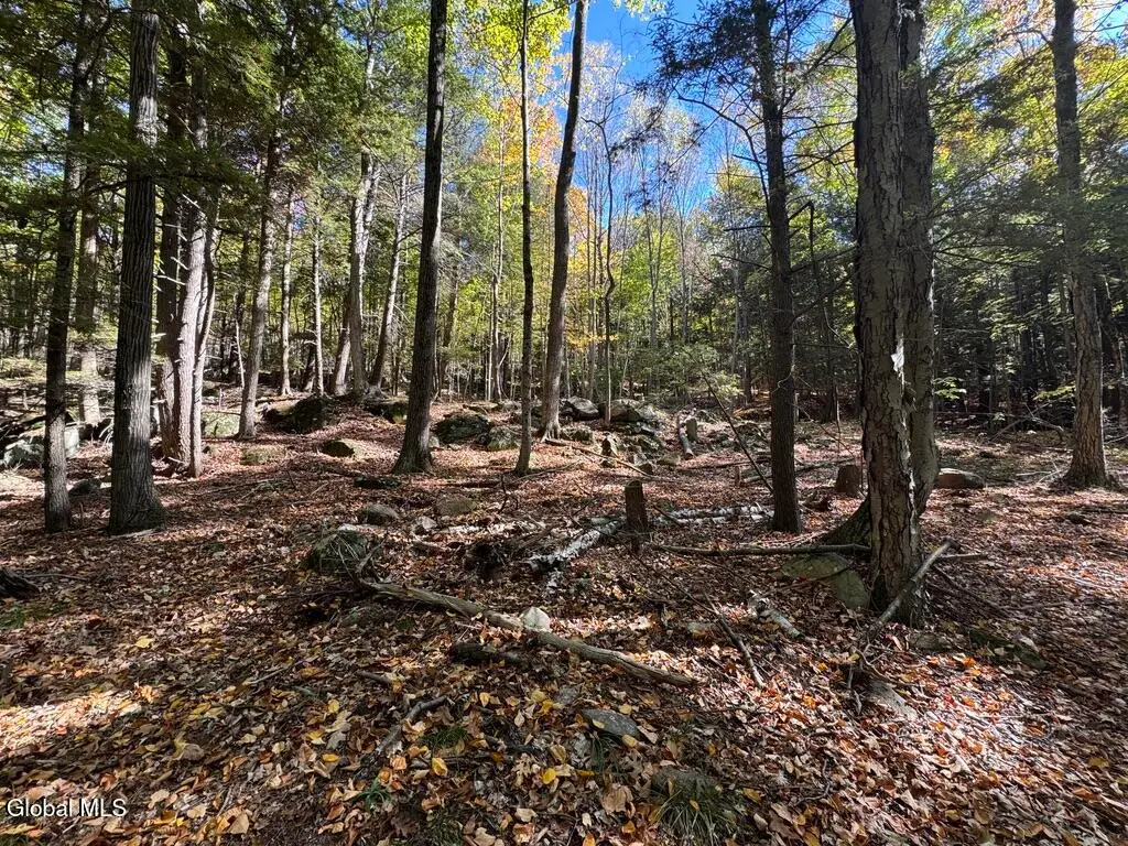 40 Constitution Way, Fort Ann, NY 12827 - Image #1