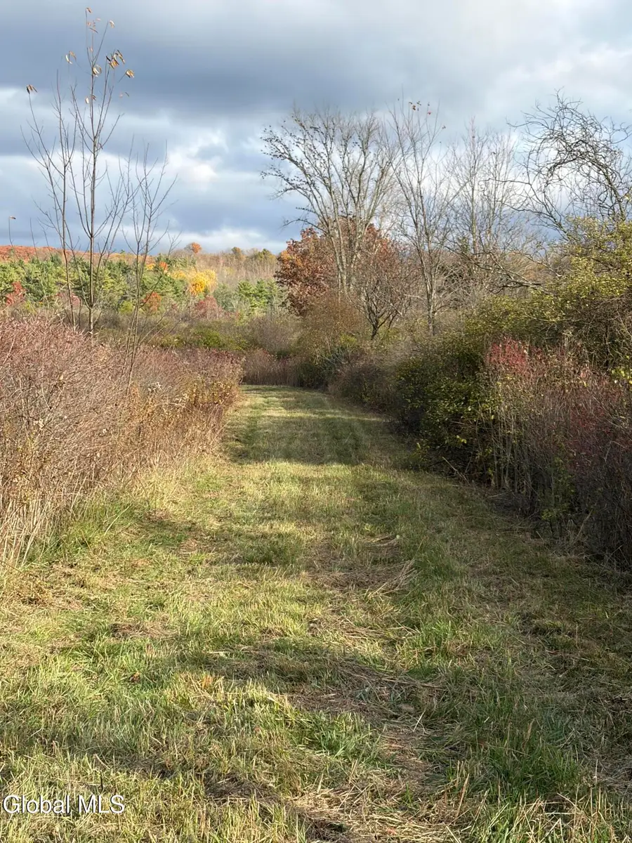 39 Valley View Way, Whitehall, NY 12887 - Image #2