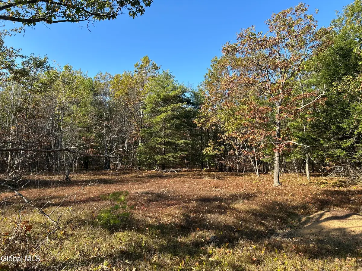 L31 Gulf Hill Road, Berne, NY 12059 - Image #1