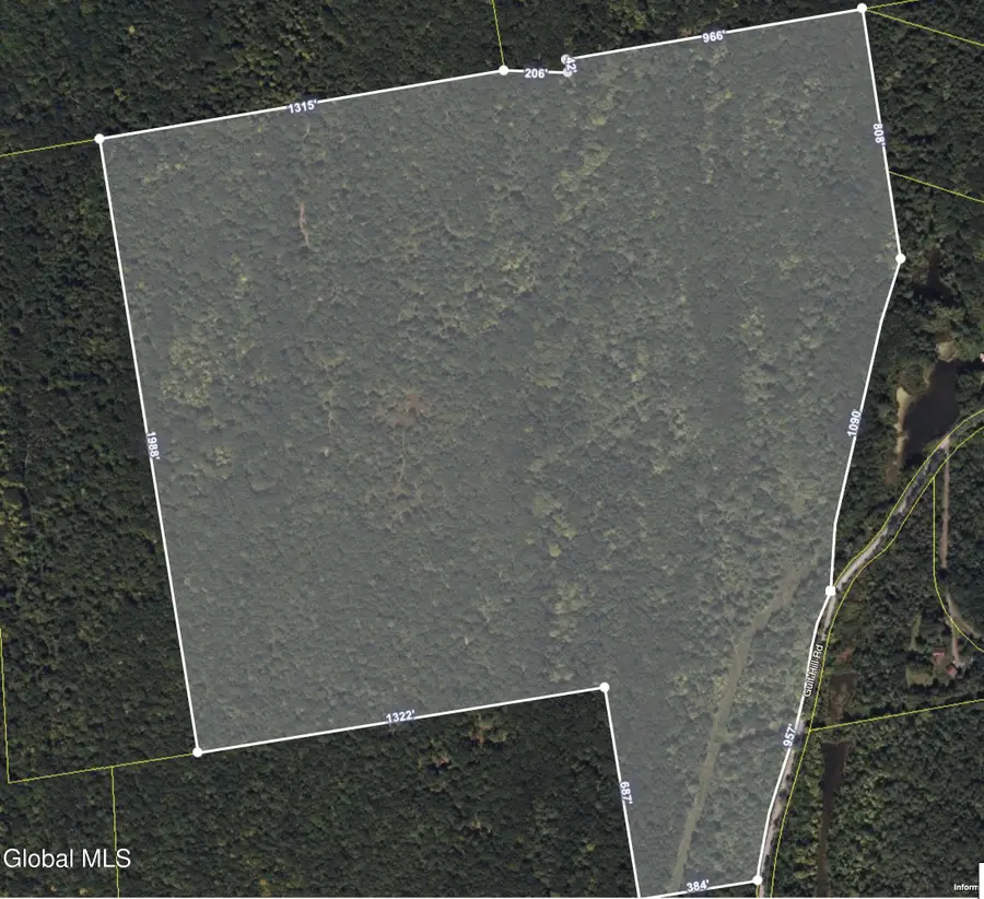 L31 Gulf Hill Road, Berne, NY 12059 - Image #2