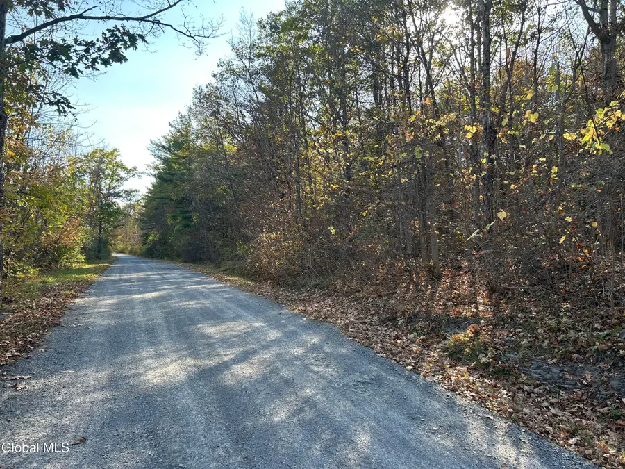 L31 Gulf Hill Road, Berne, NY 12059 - Image #3
