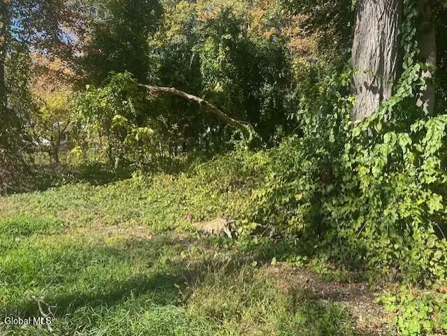 L12 Jane Drive, Schenectady, NY 12302 - Image #1