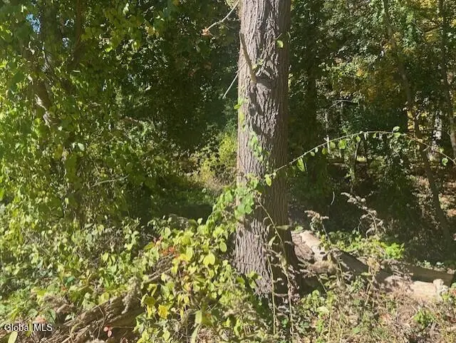 L12 Jane Drive, Schenectady, NY 12302 - Image #2