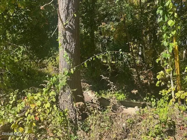 L12 Jane Drive, Schenectady, NY 12302 - Image #3