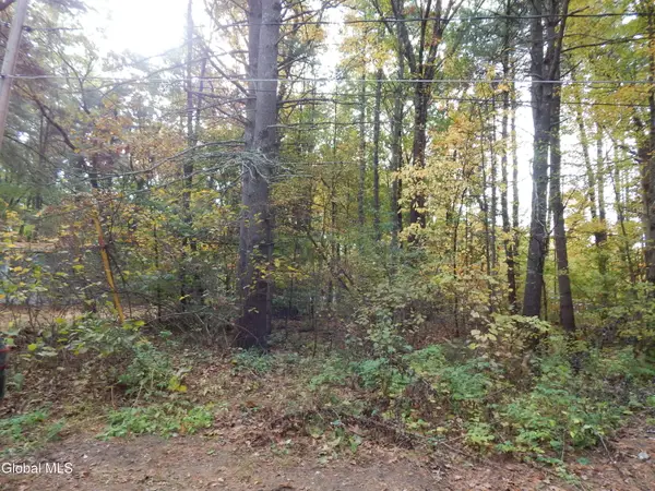 L1 Vincek Lane, Saratoga Springs, NY 12866