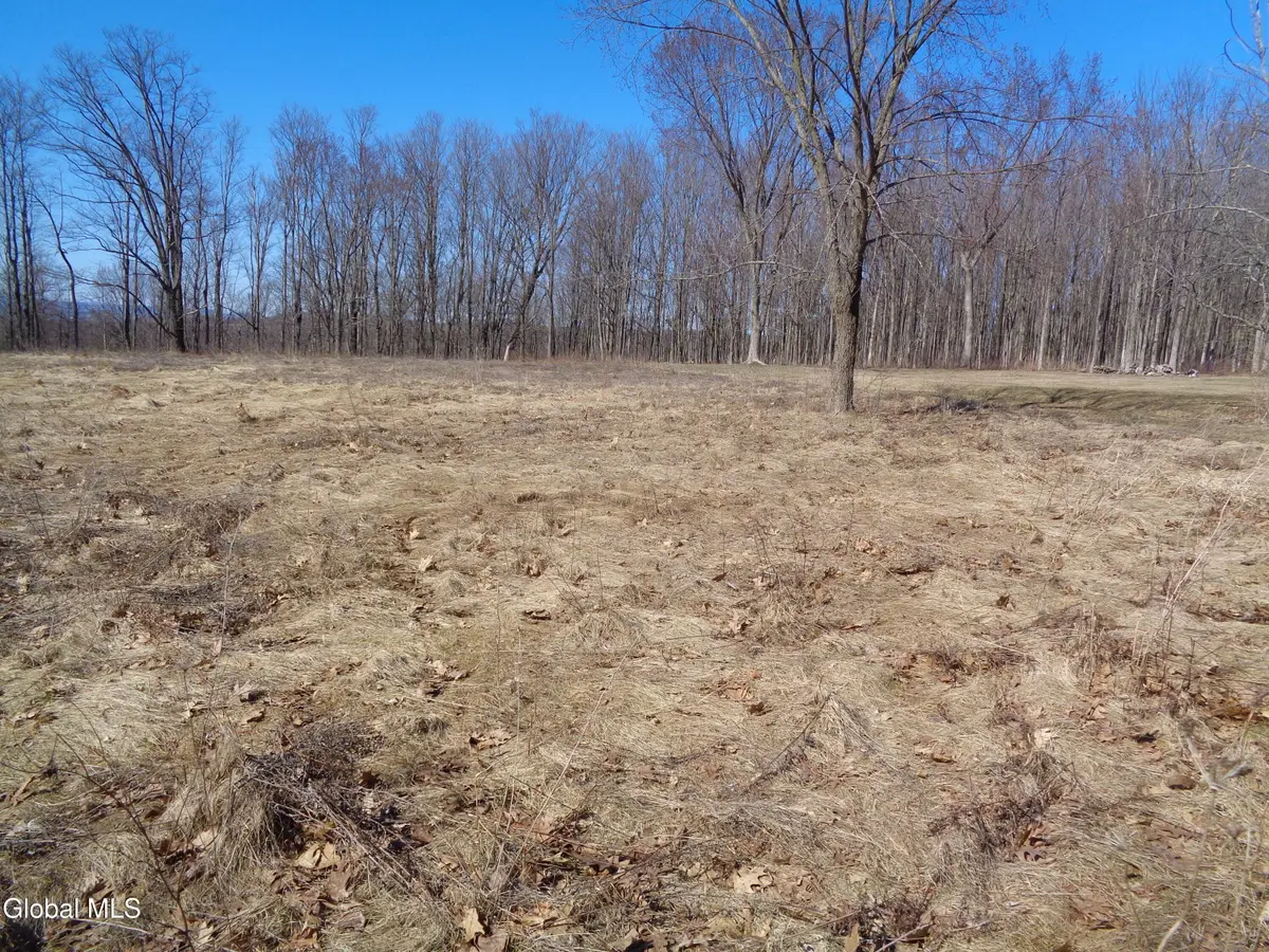 L1.1 Lawson Road, Pattersonville, NY 12137 - Image #1