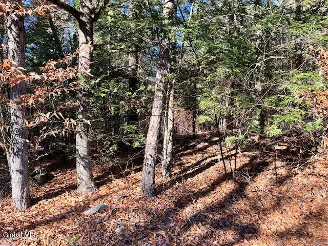 L5.322 South Trout Lake Road, Diamond Point, NY 12814 - Image #2