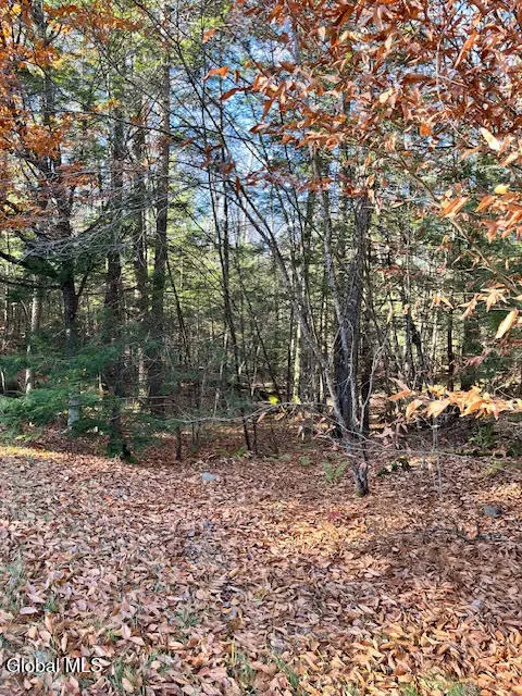 L5.322 South Trout Lake Road, Diamond Point, NY 12814 - Image #3