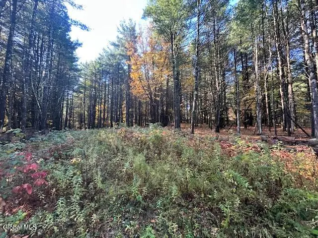 87 Le Loup Road, Pittstown, NY 12121 - Image #3