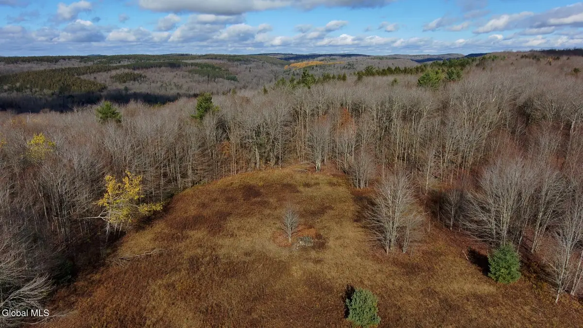 L14 Hawthorn Path, Jefferson, NY 12093 - Image #1