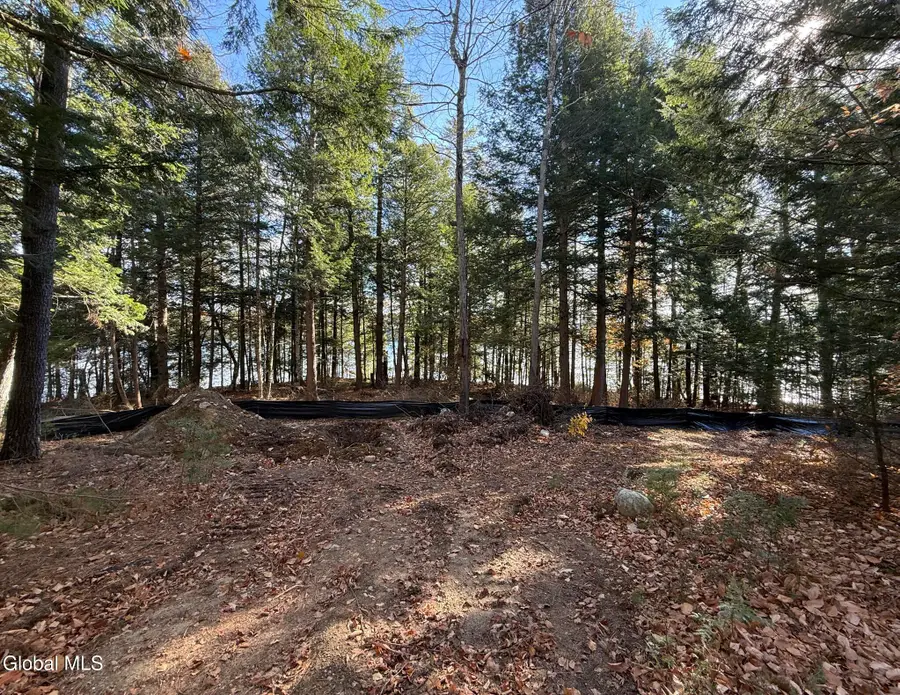 23 Teds Way, Diamond Point, NY 12824 - Image #2