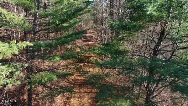 L12 Rebel Ridge, Jefferson, NY 12093