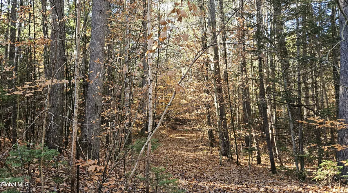 183 Mountain Path, Johnsburg, NY 12853 - Image #1