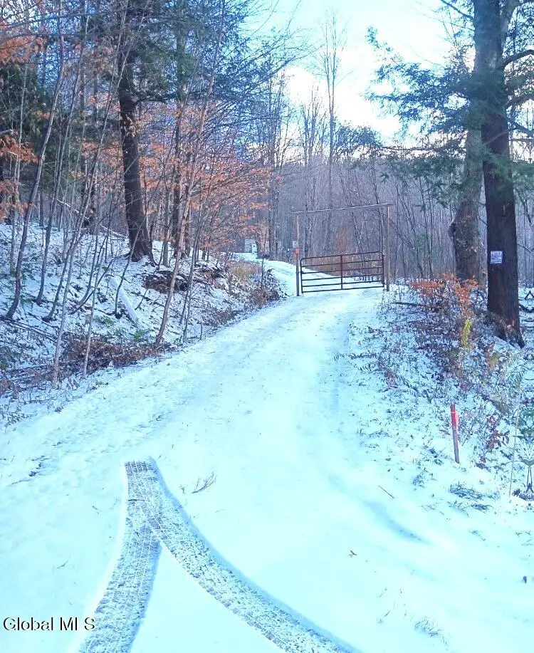 575 Hollenbeck Road, Worcester, NY 12197 - Image #1