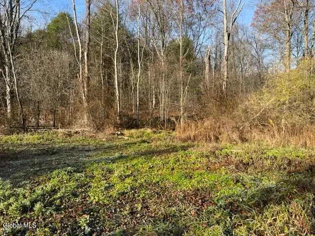 L10 County Route 51, New Baltimore, NY 12124 - Image #2