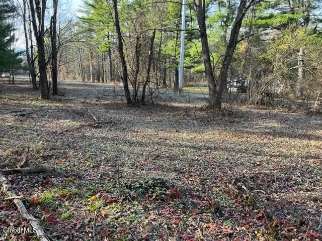 L10 County Route 51, New Baltimore, NY 12124 - Image #3