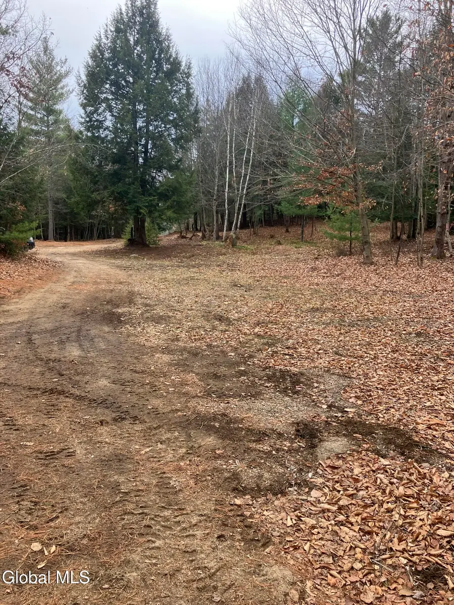 L15.111 Scofield Road, Lake Luzerne, NY 12846 - Image #3