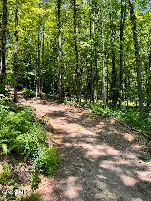 L7.41 Summit Lake Road, Argyle, NY 12809 - Image #2