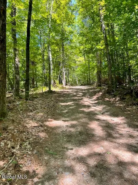 L7.41 Summit Lake Road, Argyle, NY 12809 - Image #3