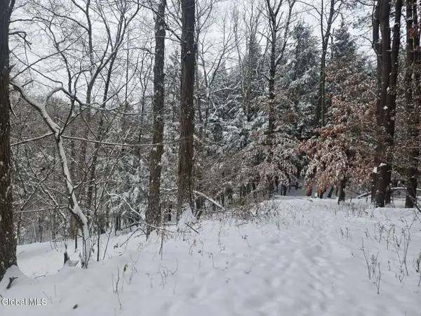 L10 Rouse Road, Minden, NY 13339