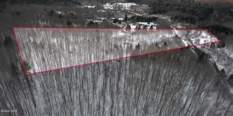 L3.7 Pine Swamp Road, Sidney Center, NY 13839 - Image #3