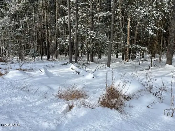 51 Circle Drive, New Baltimore, NY 12192