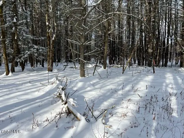 51 Circle Drive, Coxsackie Town, NY 12192 - Image #3